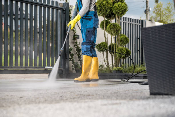 Best Soft Washing for Delicate Surfaces in Dix Hills, NY